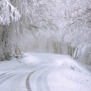 Zapraszamy na I Zimowy Turystyczny Samochodowy Rajd Ekologiczny nad Zalewem Koronowskim