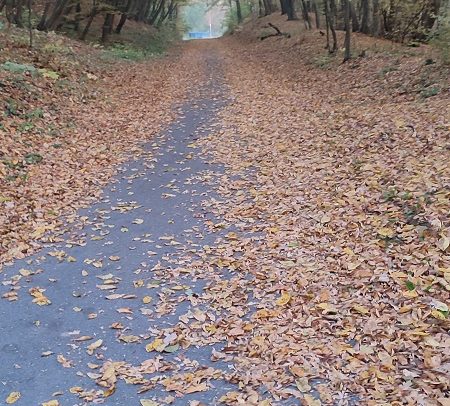 Podróże- relacje z wypraw- Sopot rowerem